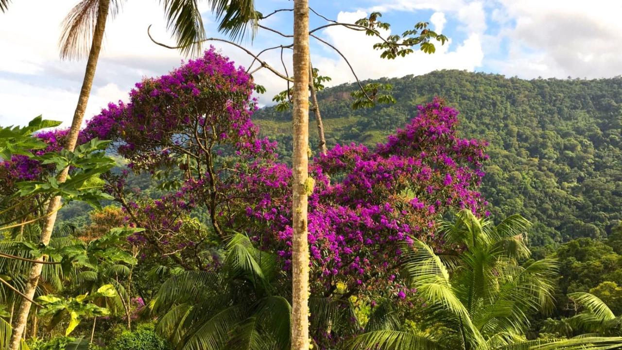 Casa Da Floresta Pico Da Aguia Araquari Eksteriør billede