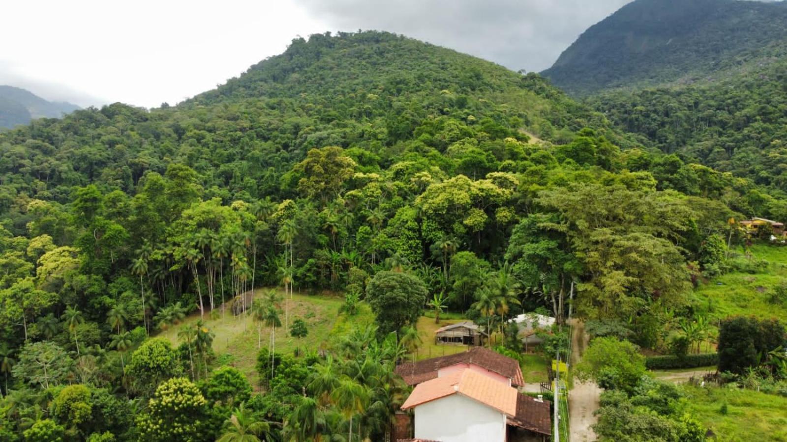 Casa Da Floresta Pico Da Aguia Araquari Eksteriør billede