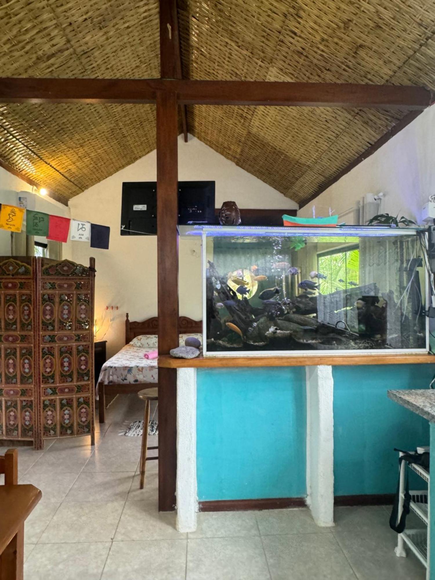 Casa Da Floresta Pico Da Aguia Araquari Eksteriør billede